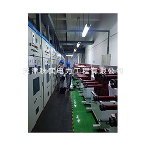 电站预防性试验