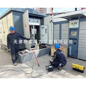 电站预防性试验