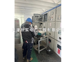 电站预防性试验