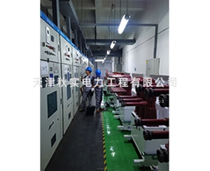 电站预防性试验