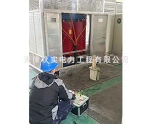 电站预防性试验